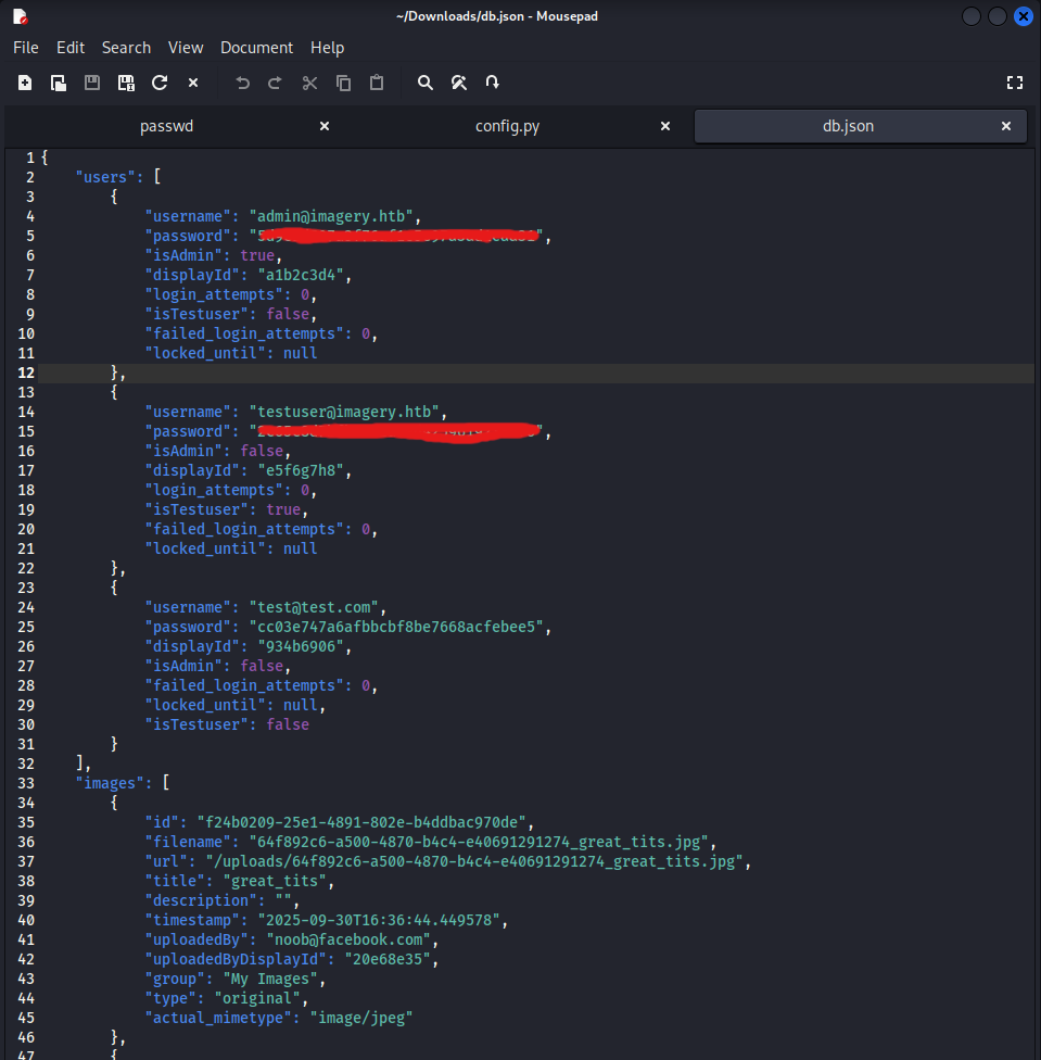 db_json file