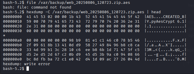 hexdump screenshot of .aes file