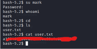 user flag