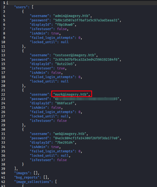 screenshot of db.json file